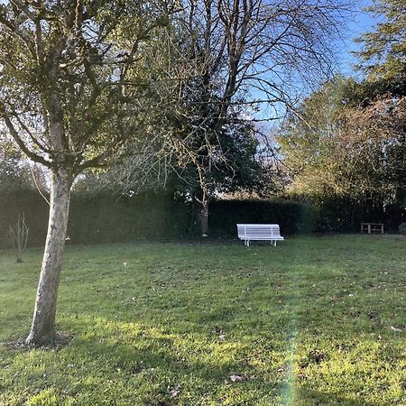 Belle Vue - Charmante Maison Normande Au Calme Villa Rânes Eksteriør billede